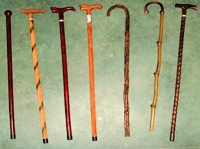 Cane