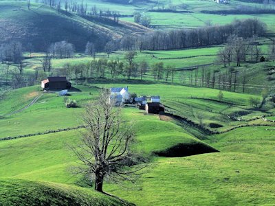 country