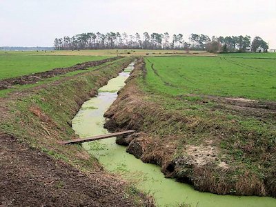 ditch