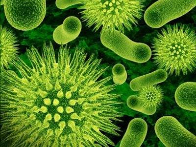 germ