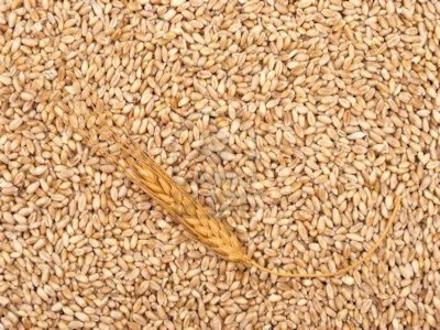 Grain