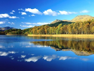 Reflection