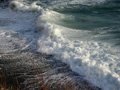 Wave