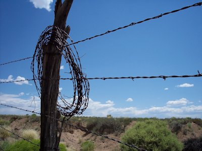 Wire