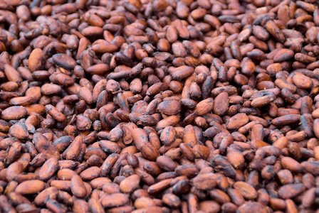 cocoa