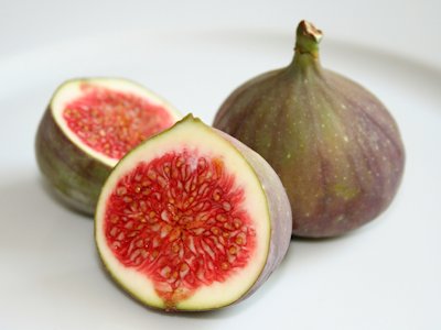 Fig