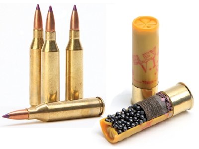 Ammunition