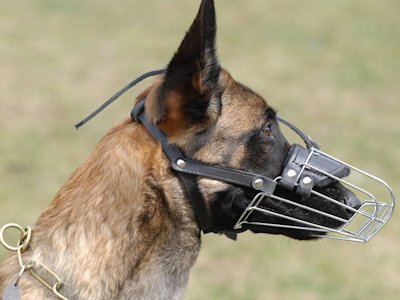 Muzzle