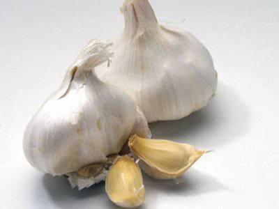 Garlic