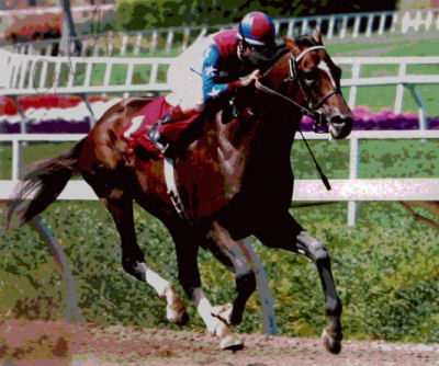 Jockey