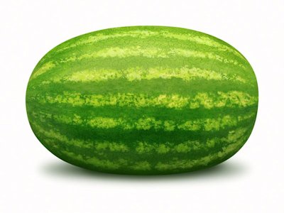 Melon