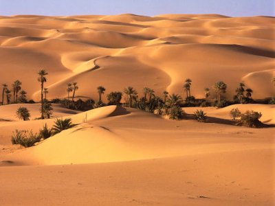 Oasis