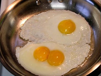 Yolk