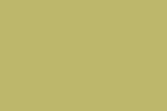 Color 27 - Dark Khaki