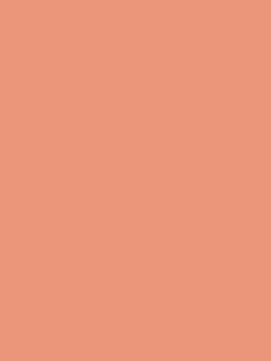 Color 33 - Dark Salmon