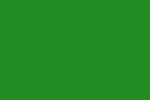 Color 45 - Forest Green