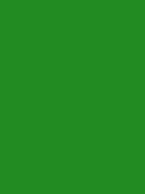 Color 45 - Forest Green