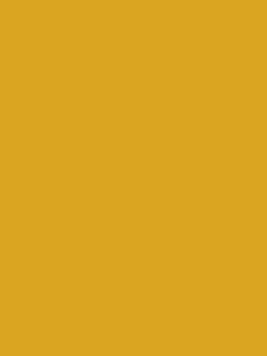 Color 50 - Goldenrod