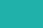 Color 72 - Light Sea Green