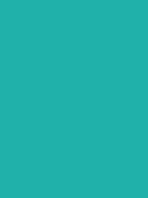 Color 72 - Light Sea Green
