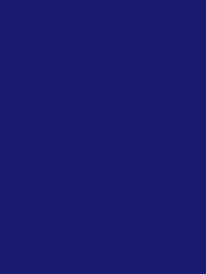 Color 91 - Midnight Blue