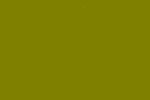 Color 98 - Olive