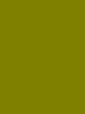 Color 98 - Olive