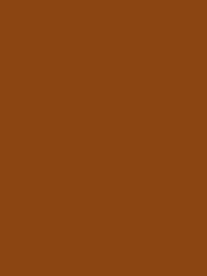 Color 117 - Saddle Brown