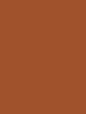 Color 122 - Sienna