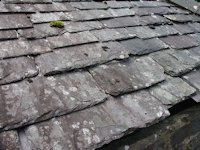 Slate Roof 