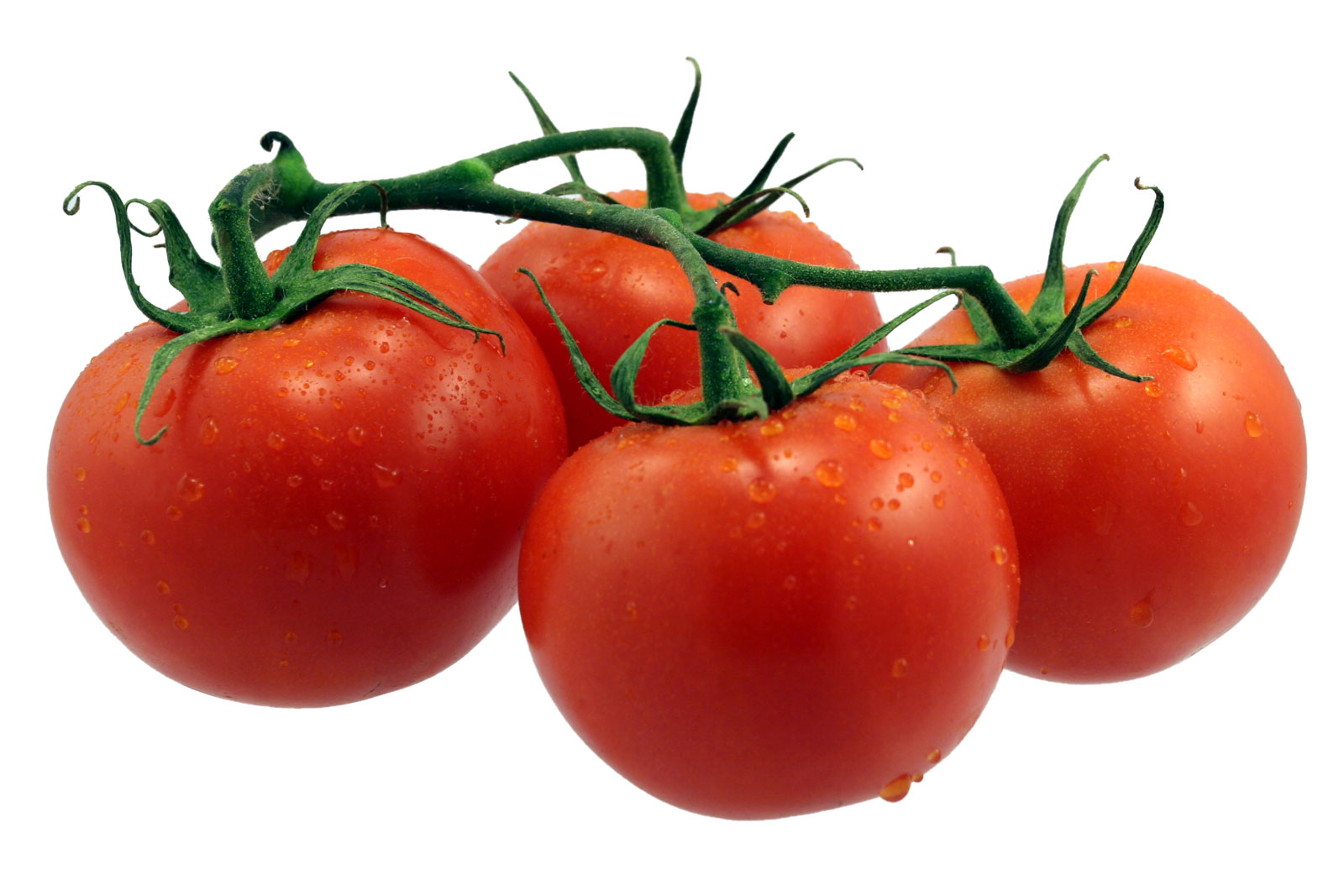 Tomatoes 