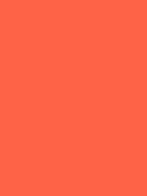 Color 133 - Tomato