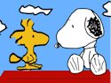 Snoopy's friend Woodstock