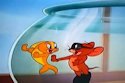 Tom and Jerry Cartoon