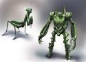 Mantis Transformers