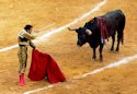 Bullfighting