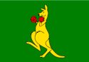 Australia's sporting flag