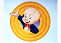 Porky Pig