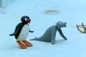 Robby and Pingu