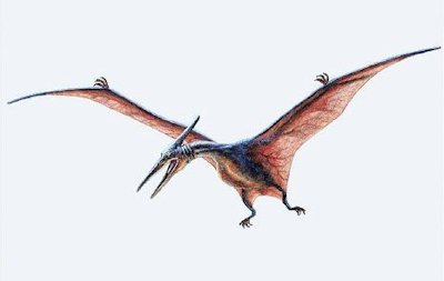 Pterosaur