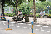 People's Park in Baoding 2
