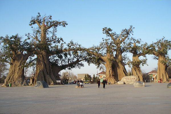 Botanical Gardens in Baoding China - 2008