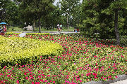 Botanical Gardens 8