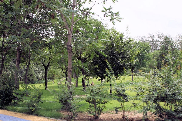 Botanical Gardens in Baoding China - 2008