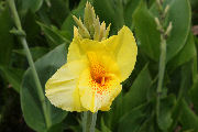 Botanical Gardens 19