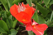 Botanical Gardens 20
