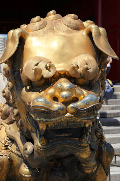 Gilded Male Lion Forbidden City Beijing - China