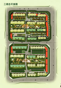 Plot Plan