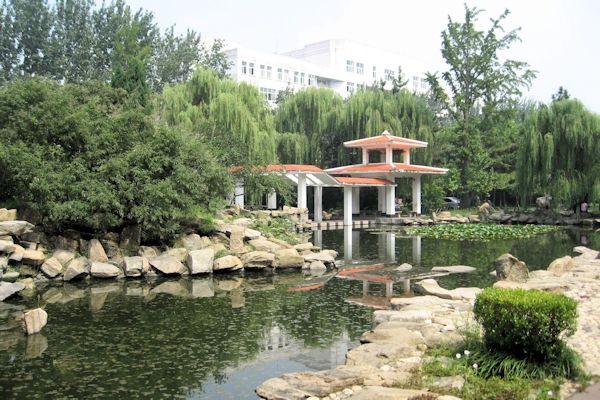  - Linyi