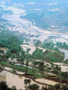 Sichuan Rice Paddies